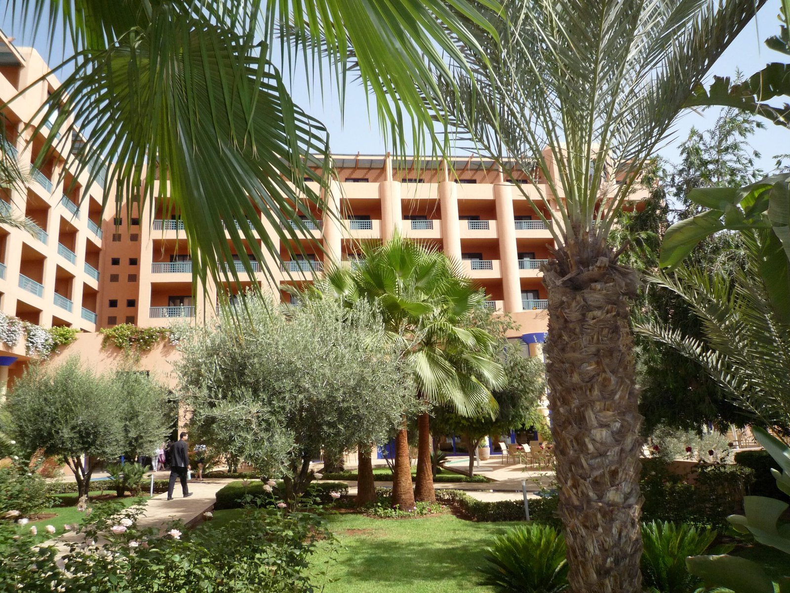 Panasonic-DMC-FX500-3648x2736-040153