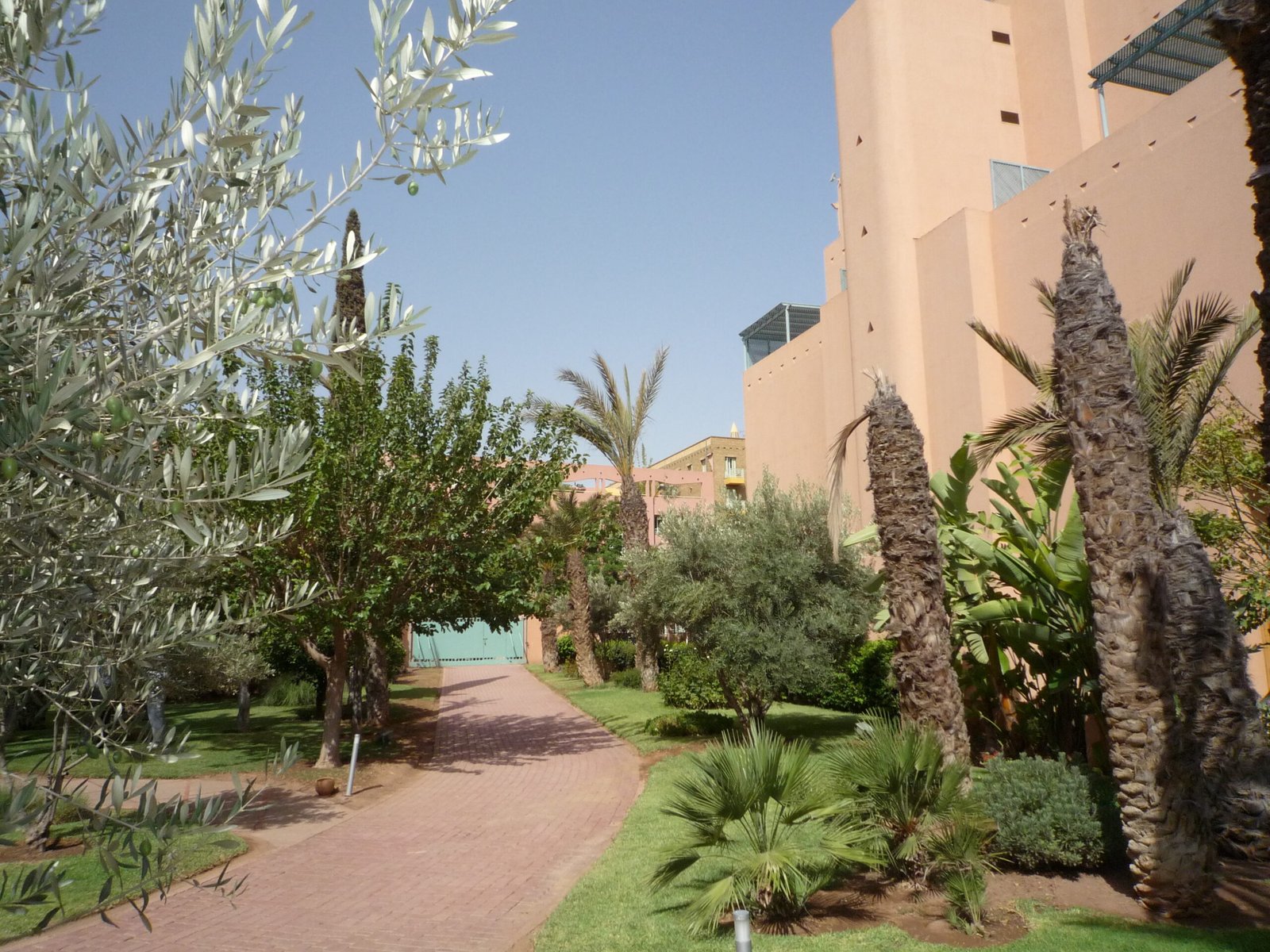 Panasonic-DMC-FX500-3648x2736-040155